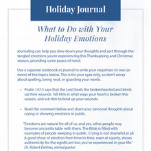 Load image into Gallery viewer, DivorceCare Survival Guide: Navigating the Holidays After a Separation or Divorce (Expanded Version)