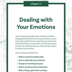 Survival Guide: Navigating the Holidays After Loss (Expanded Version)