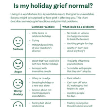 Load image into Gallery viewer, Survival Guide: Navigating the Holidays After Loss (Expanded Version)
