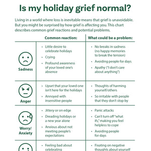 Survival Guide: Navigating the Holidays After Loss (Expanded Version)